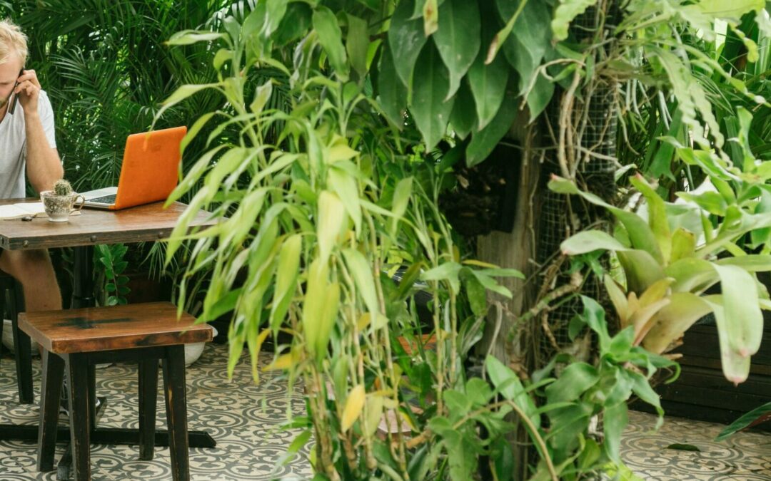 Espace vert en entreprise
